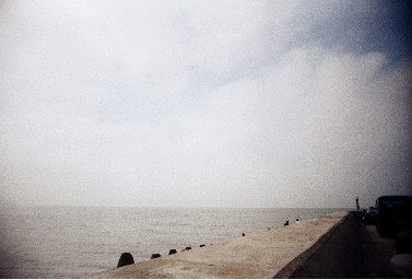 t002-031.jpg