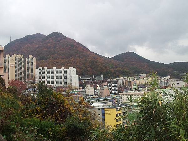 釜山-門峴洞壁畫村