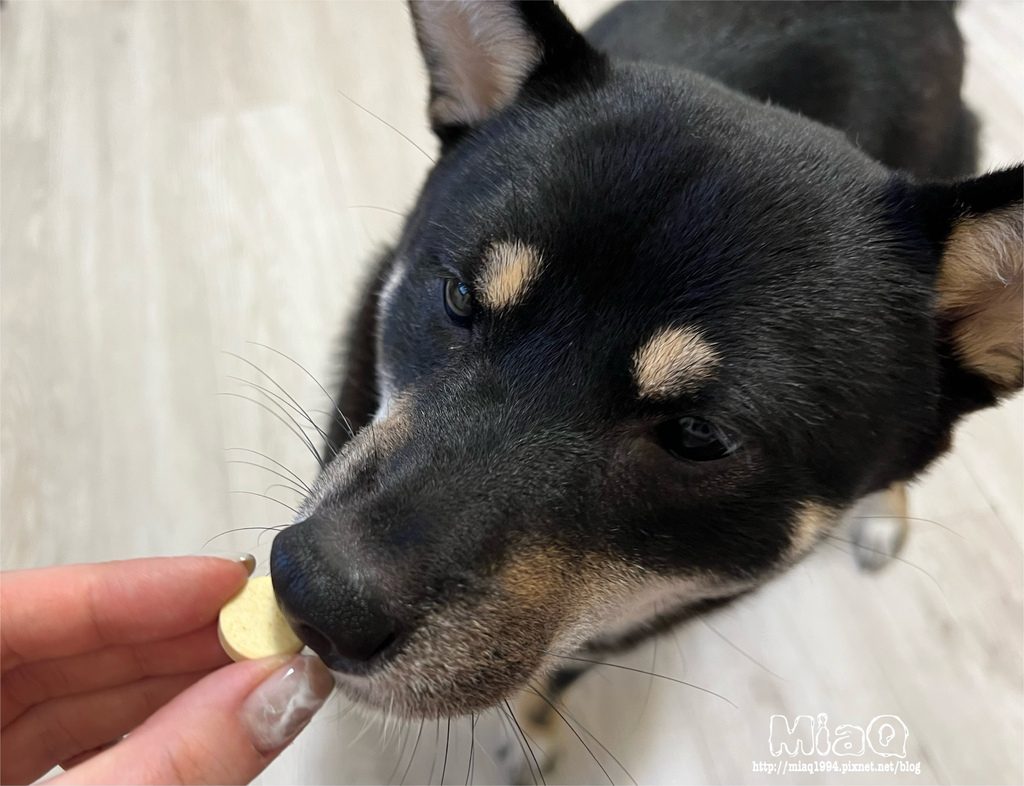 毛小孩保健食品推薦！寵物界維骨力「骨力勁」，關節、心血管保健 (10).JPG