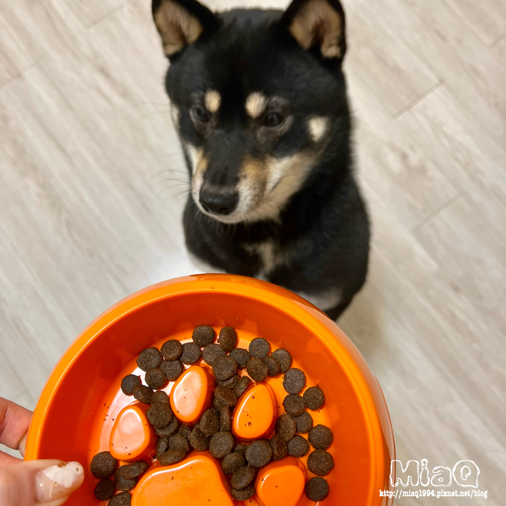 Alleva艾雷雅｜草本寵物飼料推薦！單一蛋白質來源、適口性佳、低敏無穀狗飼料 (8).JPG