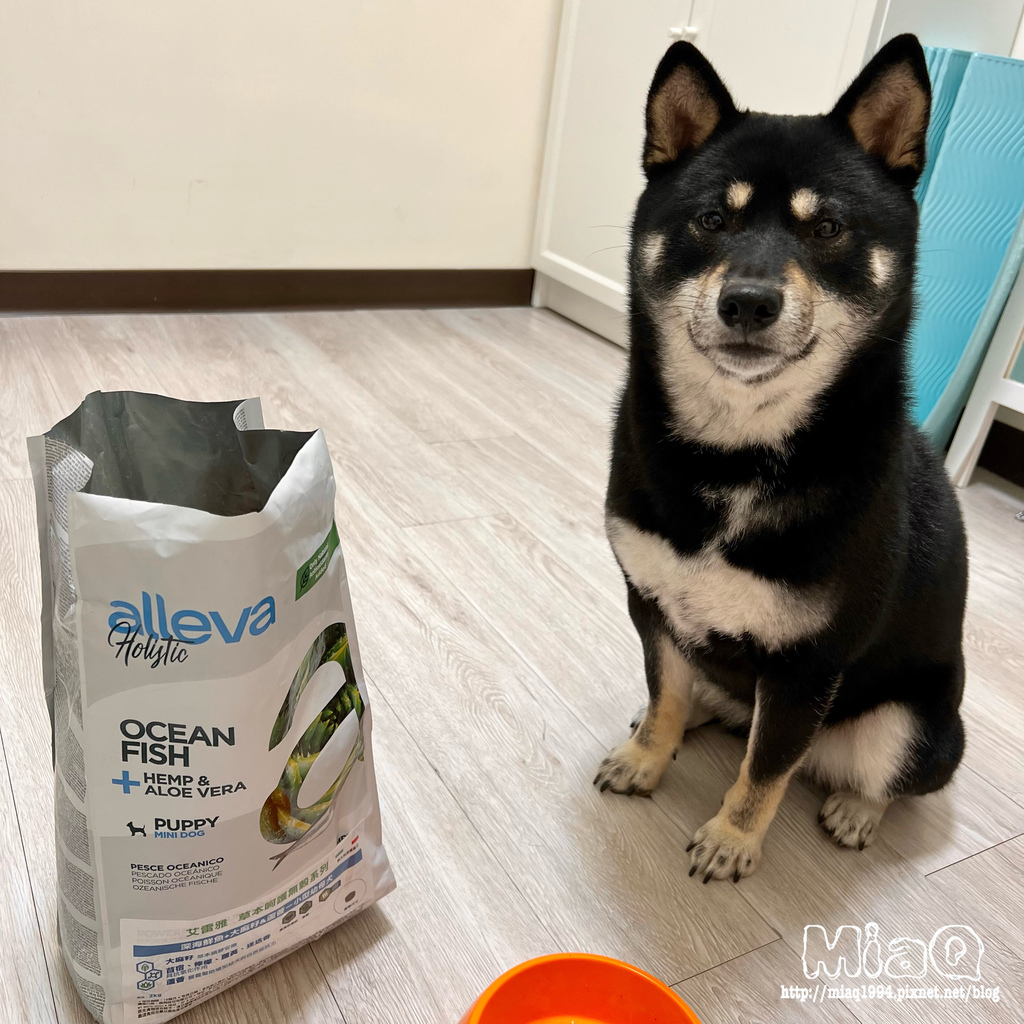 Alleva艾雷雅｜草本寵物飼料推薦！單一蛋白質來源、適口性佳、低敏無穀狗飼料 (15).JPG