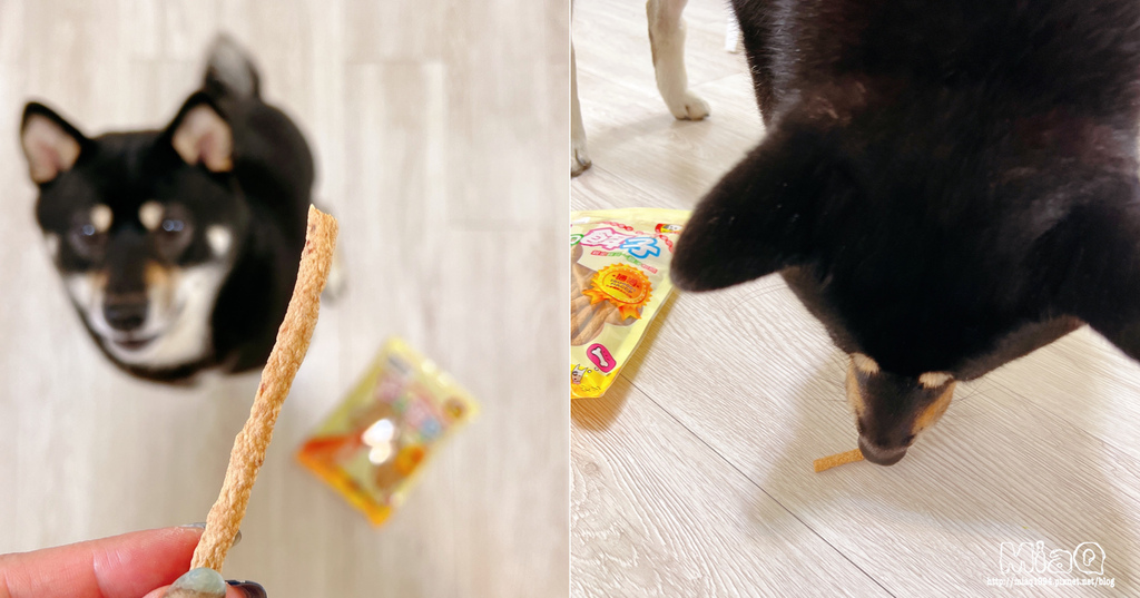 MIT寵物零食推薦｜寶貝飼子「寵物零食彭湃組」狗狗訓練零食，吃好吃滿，寵物就愛這味！！ (13).JPG