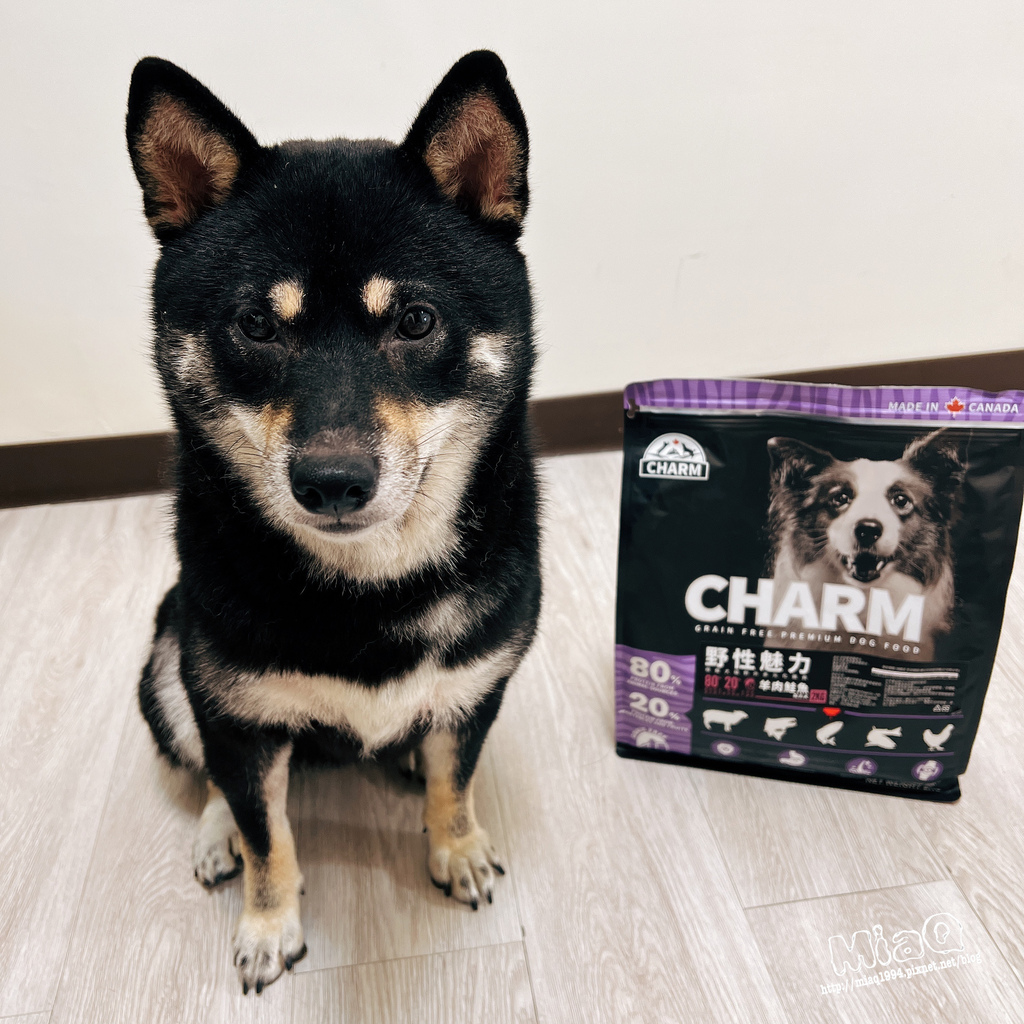 讓毛孩擁有健康光澤的皮毛！就吃低致敏【CHARM 野性魅力】無穀狗飼料(羊肉鮭魚配方犬)、大西洋鮪魚凍乾 (8).JPG