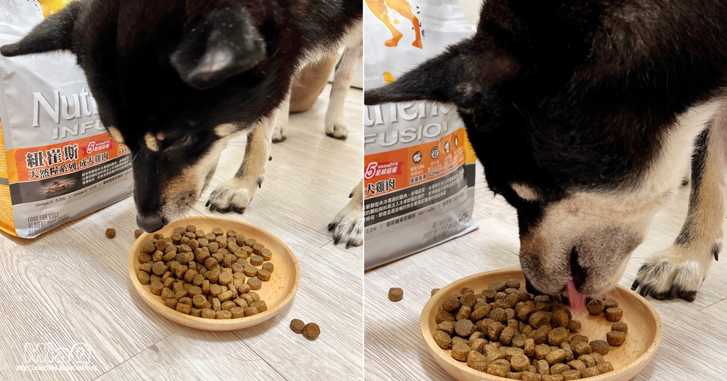 【2022飼料推薦】八犬寵物 無穀低敏飼料開箱｜Nutrience紐崔斯評價，挑嘴狗也愛吃的紐崔斯天然糧成犬-雞肉口味 (10).JPG