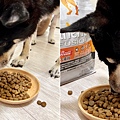 【2022飼料推薦】八犬寵物 無穀低敏飼料開箱｜Nutrience紐崔斯評價，挑嘴狗也愛吃的紐崔斯天然糧成犬-雞肉口味 (10).JPG