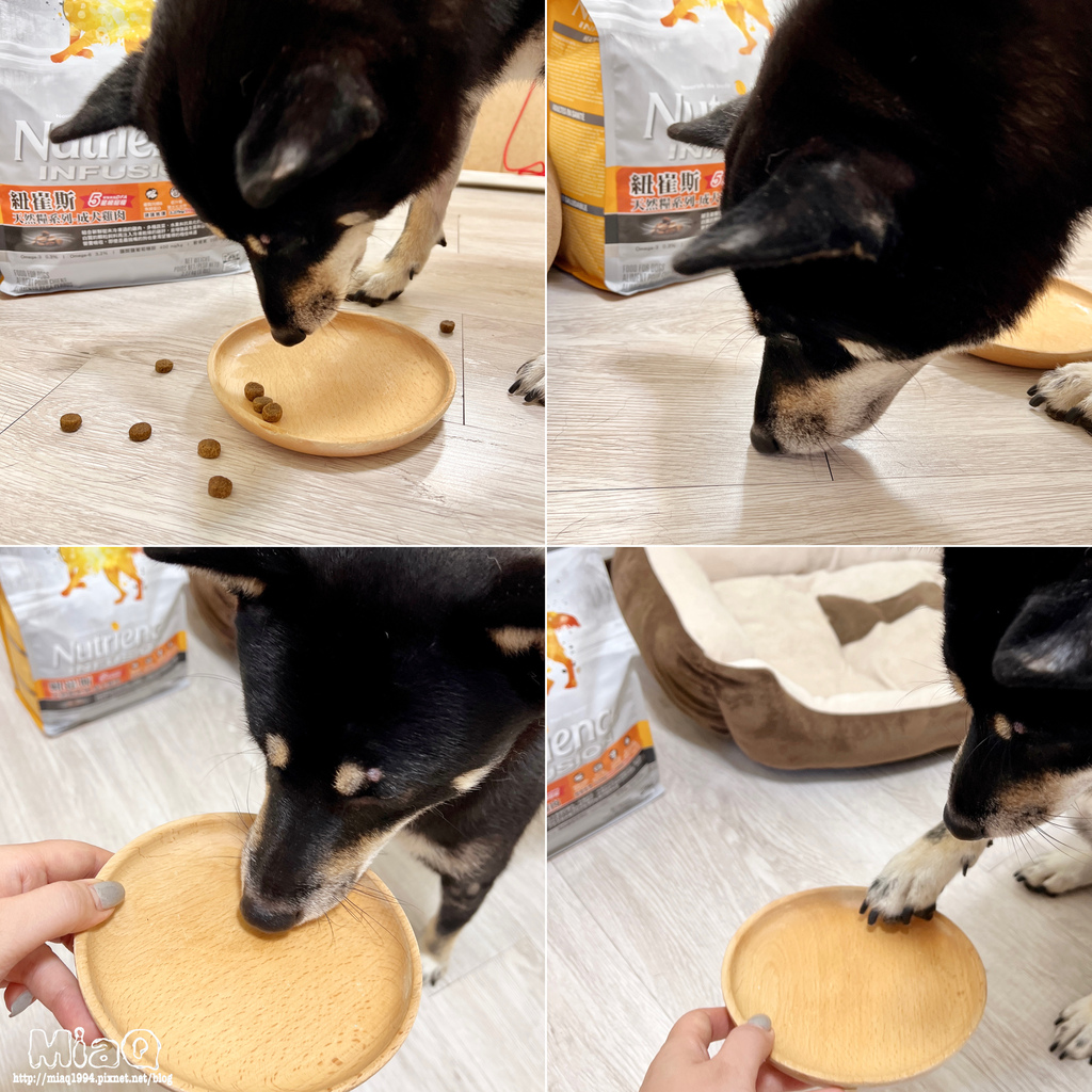 【2022飼料推薦】八犬寵物 無穀低敏飼料開箱｜Nutrience紐崔斯評價，挑嘴狗也愛吃的紐崔斯天然糧成犬-雞肉口味 (11).JPG