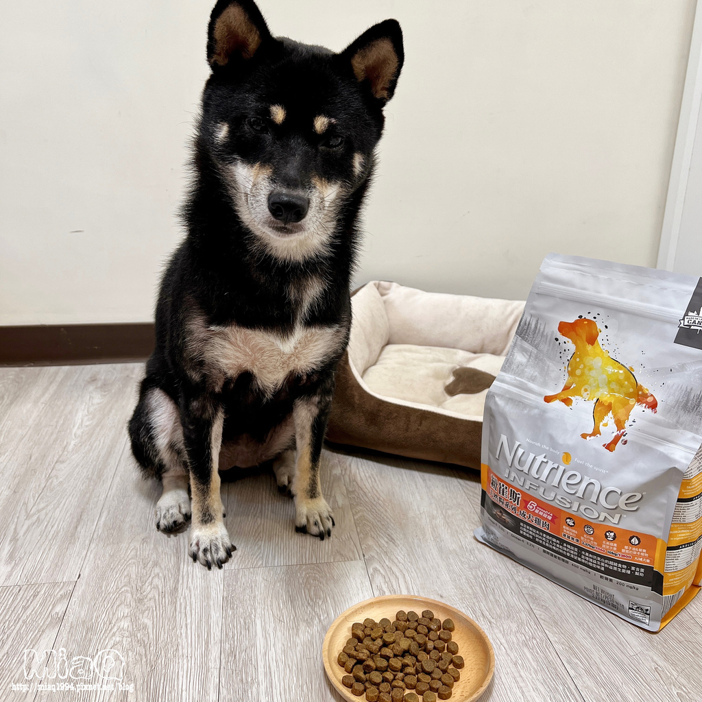 【2022飼料推薦】八犬寵物 無穀低敏飼料開箱｜Nutrience紐崔斯評價，挑嘴狗也愛吃的紐崔斯天然糧成犬-雞肉口味 (12).JPG