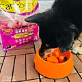 2022飼料推薦「王品寵物 原野優越犬用無穀低敏糧」！高適口性、通過認證的低敏配方寵物飼料開箱｜原野優越評價 (8).JPG