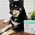 初煦寵醫｜毛孩活動力旺盛，犬貓關節保養不能少！骨溜骨溜 犬貓關節保健粉 (2).JPG