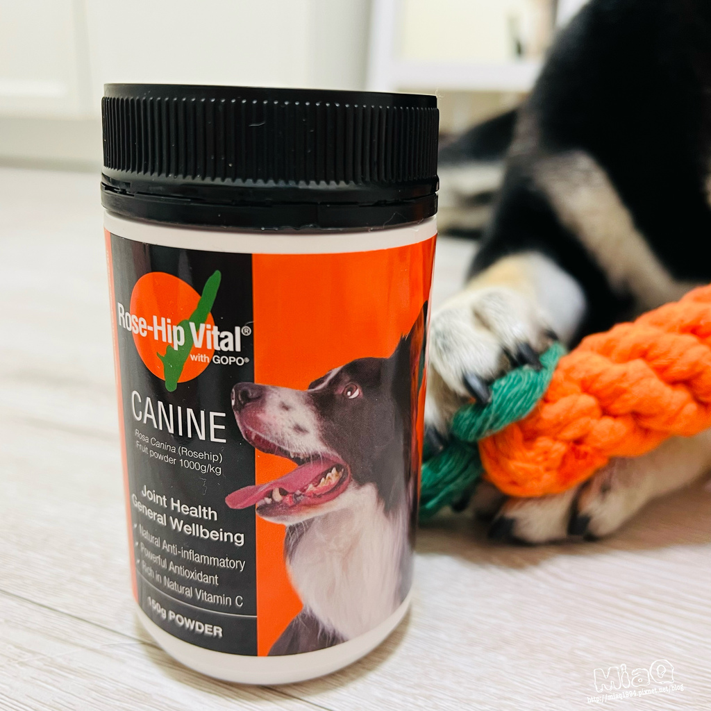 寵物日常關節營養品推薦｜Rose-Hip Vital Canine 澳寵瑰寶 寵物營養保健粉｜來自純天然的寵物關節、皮膚保健品 (3).JPG