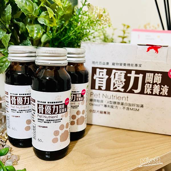 寵物關節保健食品心得｜推薦「現代百益康 骨優力關節保養液」｜狗狗關節保養保健食品｜守護毛孩的靈活健康！ (5).JPG