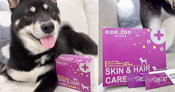 犬用皮膚養護保健品開箱｜DR.ZOO寵兒保健事 狗狗專科-亮毛養護｜寶貝餌子評價｜由內而外的皮膚養護，讓寶貝寶貝走路有自信！ (1).JPG