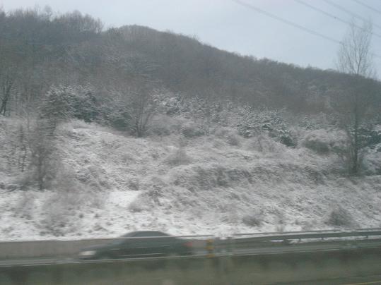 韓國雪景.JPG