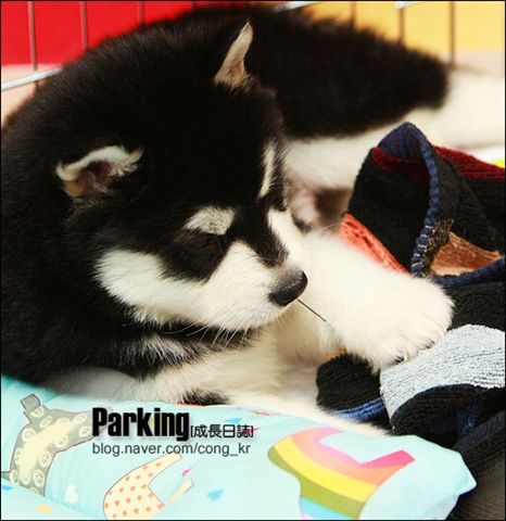 Parking-4.jpg