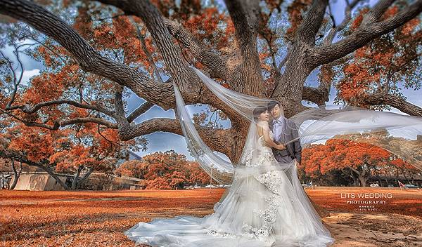 婚攝-Toku+Eva-1-1024x600.jpg