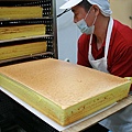 IMG_5215-1.JPG