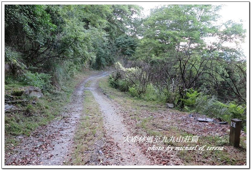 3天2夜加利山百岳行 Day1前記543及大鹿林道東線至九九