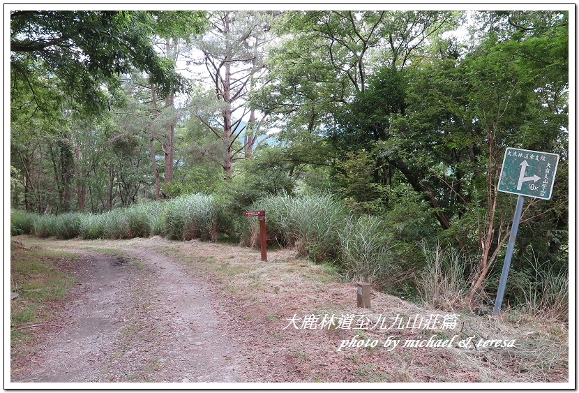 3天2夜加利山百岳行 Day1前記543及大鹿林道東線至九九