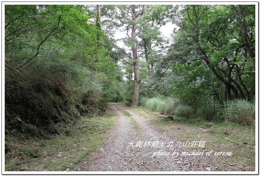 3天2夜加利山百岳行 Day1前記543及大鹿林道東線至九九