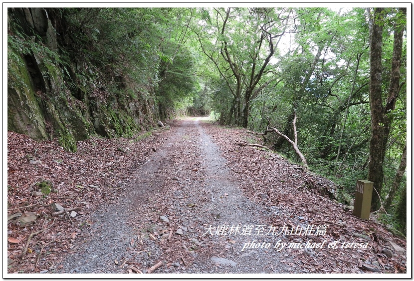 3天2夜加利山百岳行 Day1前記543及大鹿林道東線至九九