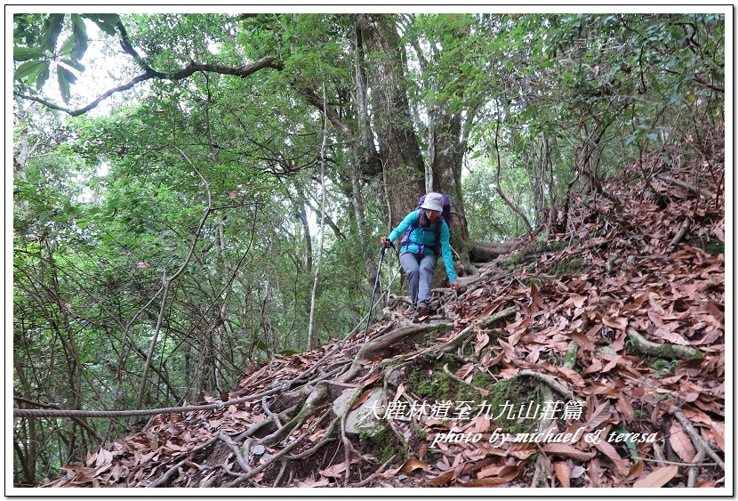 3天2夜加利山百岳行 Day1前記543及大鹿林道東線至九九