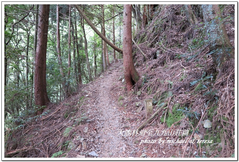 3天2夜加利山百岳行 Day1前記543及大鹿林道東線至九九