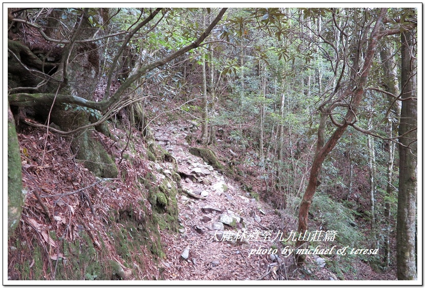 3天2夜加利山百岳行 Day1前記543及大鹿林道東線至九九