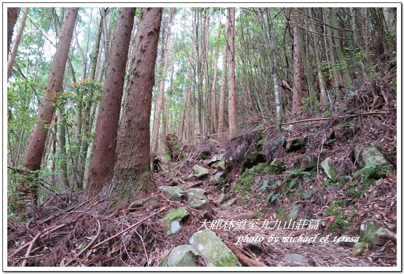 3天2夜加利山百岳行 Day1前記543及大鹿林道東線至九九