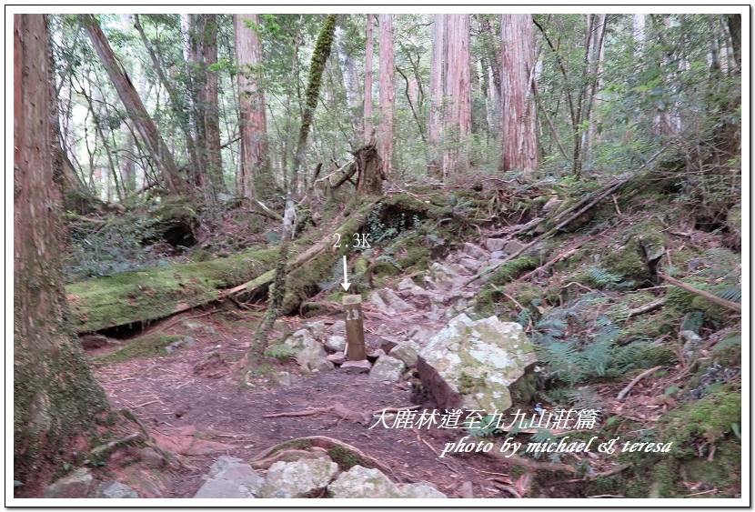 3天2夜加利山百岳行 Day1前記543及大鹿林道東線至九九