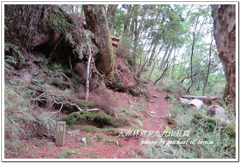 3天2夜加利山百岳行 Day1前記543及大鹿林道東線至九九