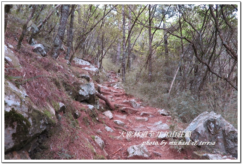 3天2夜加利山百岳行 Day1前記543及大鹿林道東線至九九