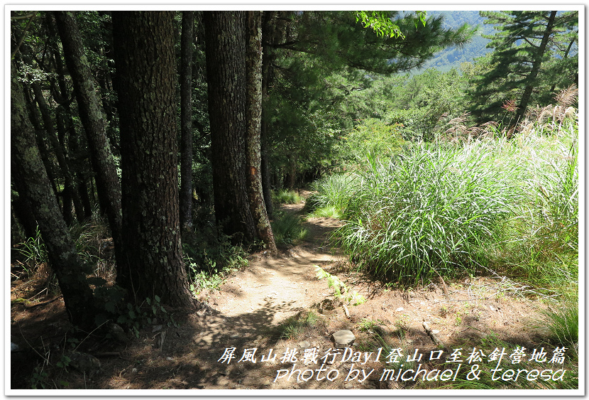 屏風山3天2夜挑戰行Day1新登山口至松針營地篇