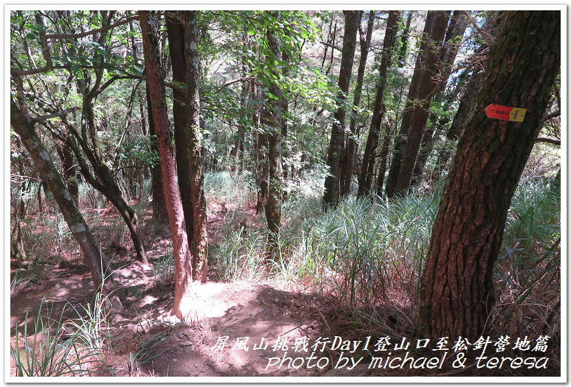 屏風山3天2夜挑戰行Day1新登山口至松針營地篇