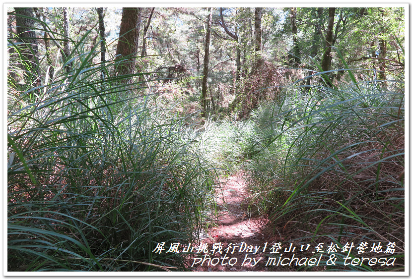 屏風山3天2夜挑戰行Day1新登山口至松針營地篇