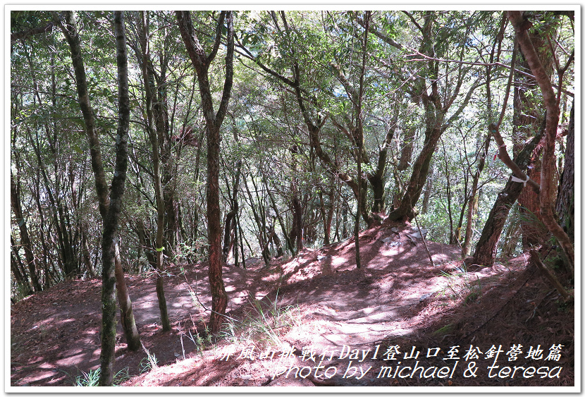 屏風山3天2夜挑戰行Day1新登山口至松針營地篇