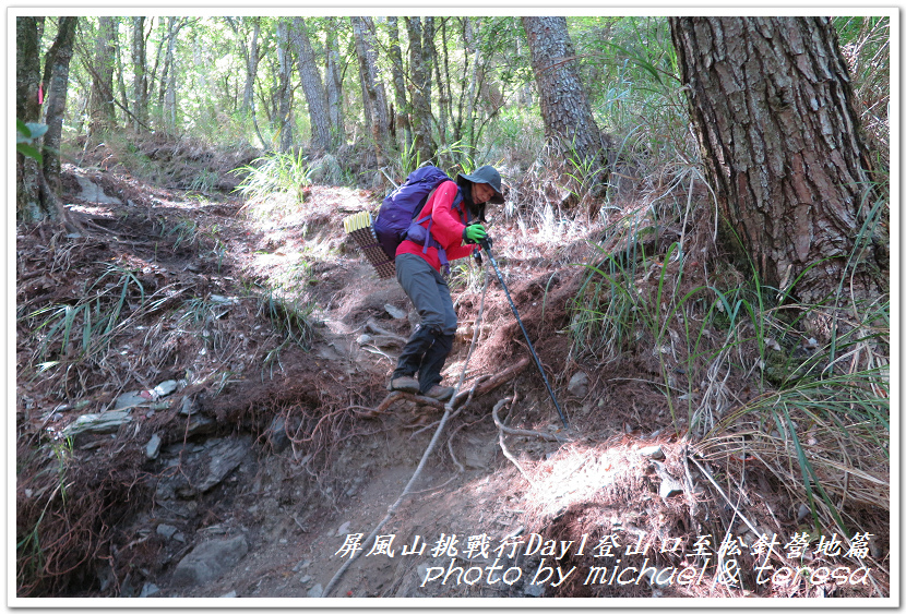 屏風山3天2夜挑戰行Day1新登山口至松針營地篇