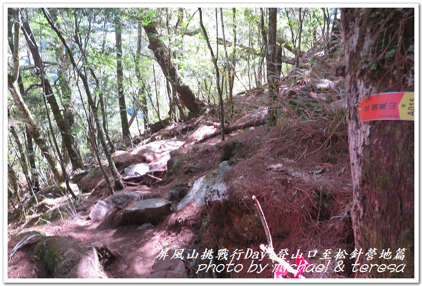 屏風山3天2夜挑戰行Day1新登山口至松針營地篇