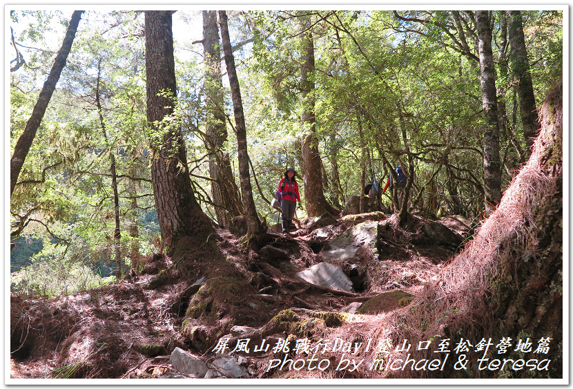 屏風山3天2夜挑戰行Day1新登山口至松針營地篇