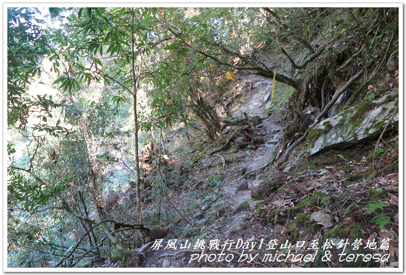 屏風山3天2夜挑戰行Day1新登山口至松針營地篇