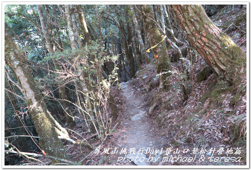 屏風山3天2夜挑戰行Day1新登山口至松針營地篇