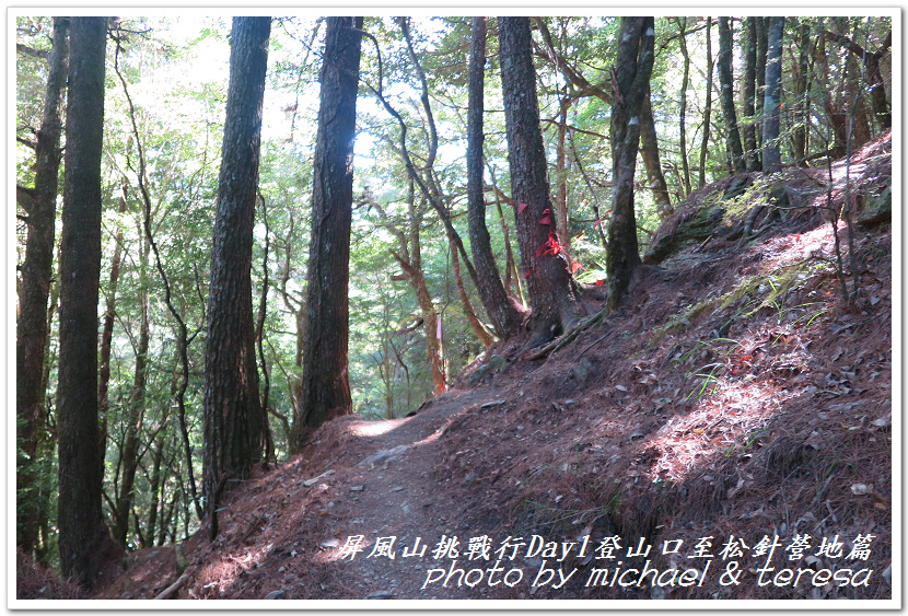 屏風山3天2夜挑戰行Day1新登山口至松針營地篇