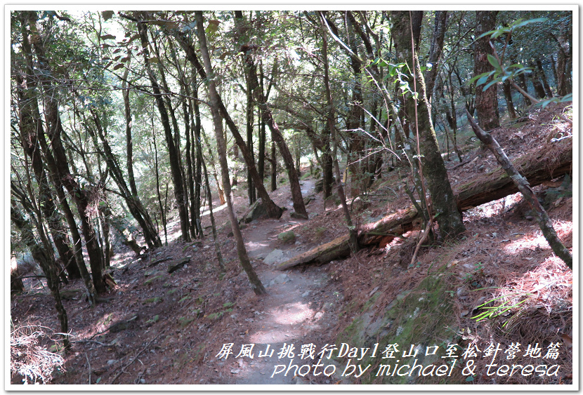 屏風山3天2夜挑戰行Day1新登山口至松針營地篇