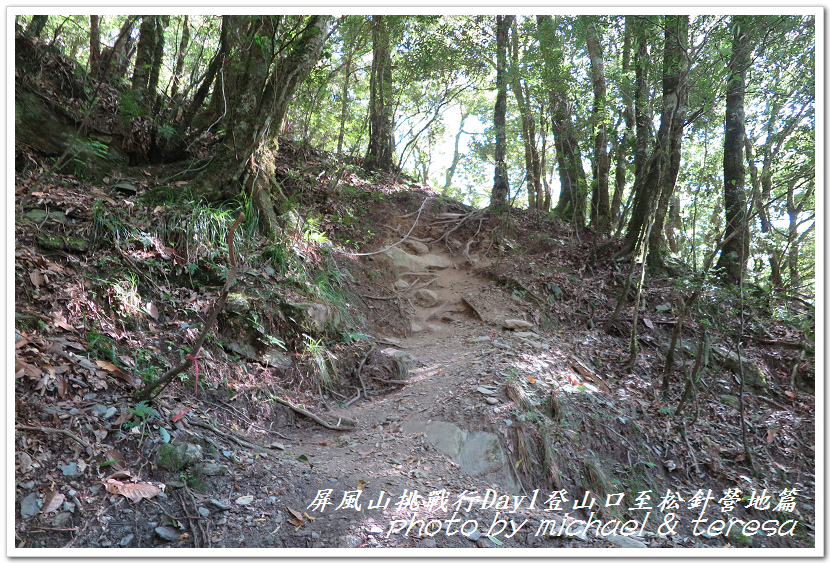 屏風山3天2夜挑戰行Day1新登山口至松針營地篇