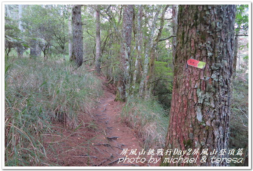 屏風山3天2夜挑戰行Day2我們的第61座百岳NO65屏風山