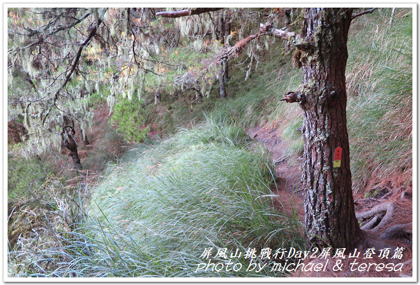 屏風山3天2夜挑戰行Day2我們的第61座百岳NO65屏風山