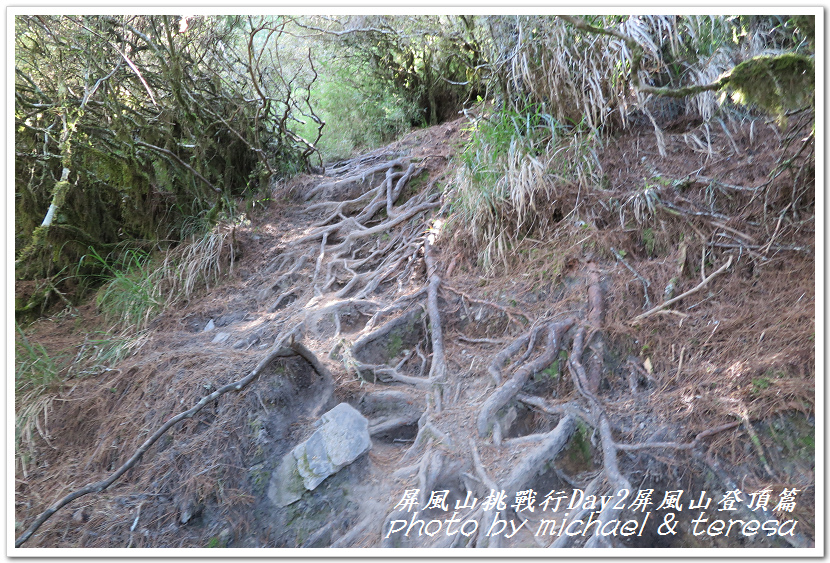 屏風山3天2夜挑戰行Day2我們的第61座百岳NO65屏風山