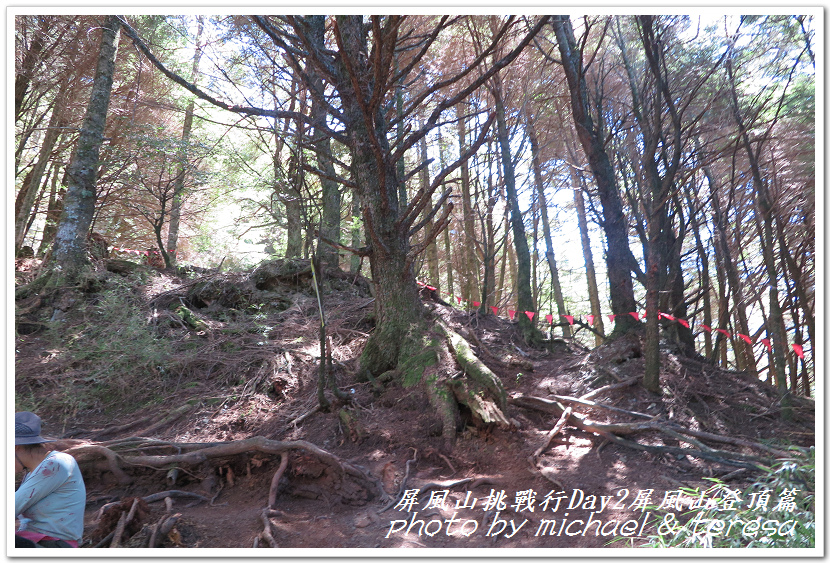 屏風山3天2夜挑戰行Day2我們的第61座百岳NO65屏風山