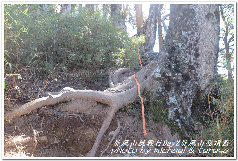 屏風山3天2夜挑戰行Day2我們的第61座百岳NO65屏風山