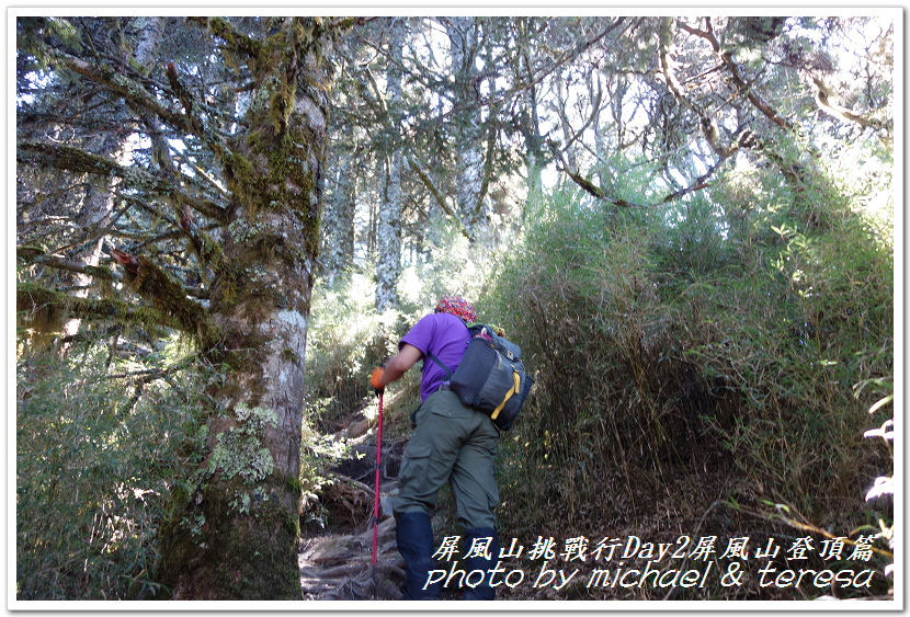 屏風山3天2夜挑戰行Day2我們的第61座百岳NO65屏風山