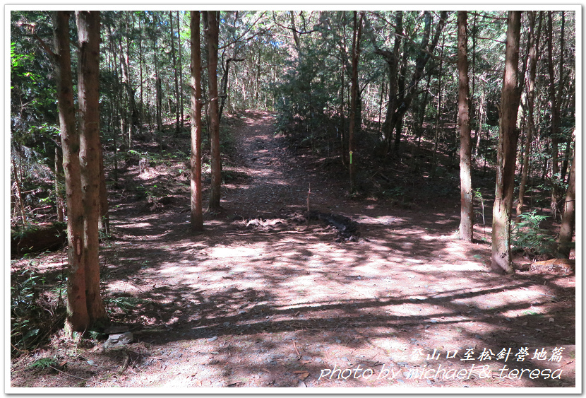 白姑大山3天2夜行Day1登山口至松針營地篇 白姑大山3天2夜行Day1登山口至松針營地篇